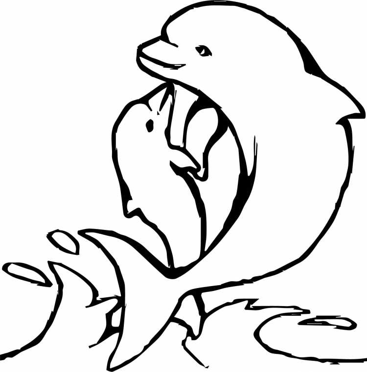 Черноморская Афалина раскраска