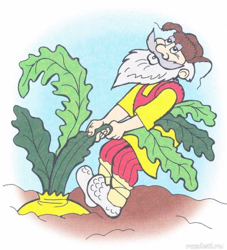 Разные рисунки для раскрашивания