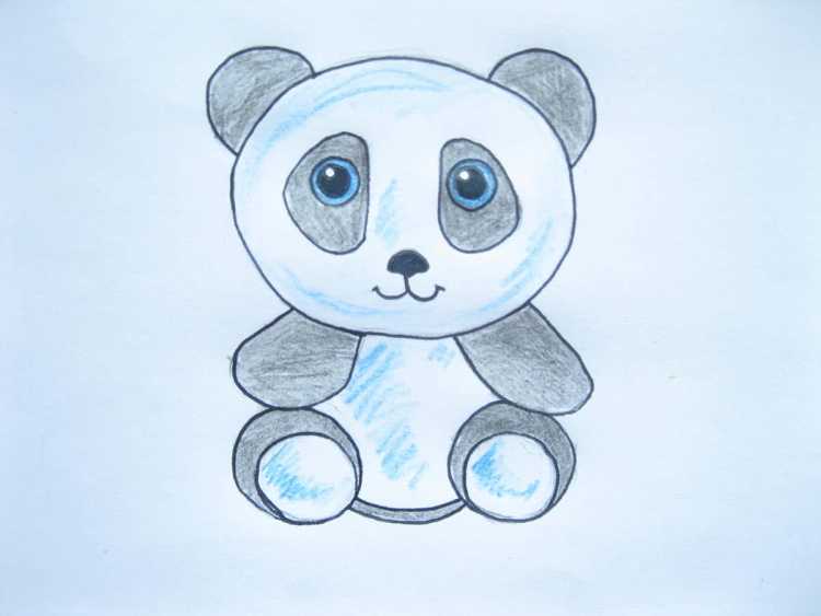Рисунки панды карандашом для начинающих