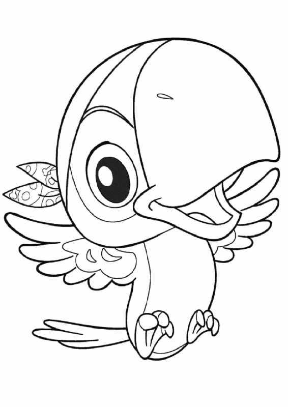 Попугай рисунок раскраска