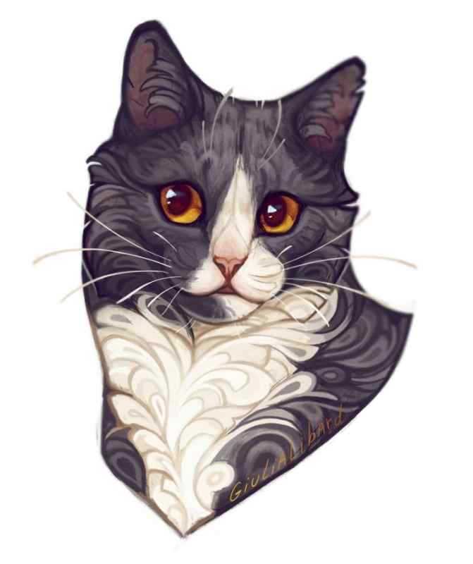 Красивые арты котов