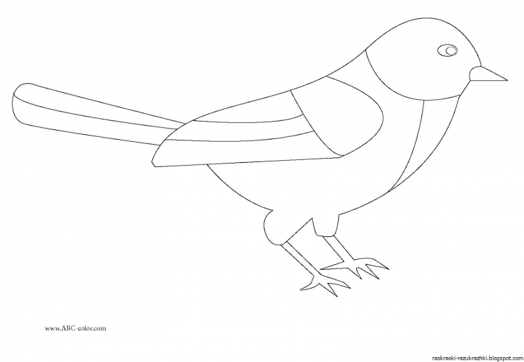 Синичка раскраска для детей