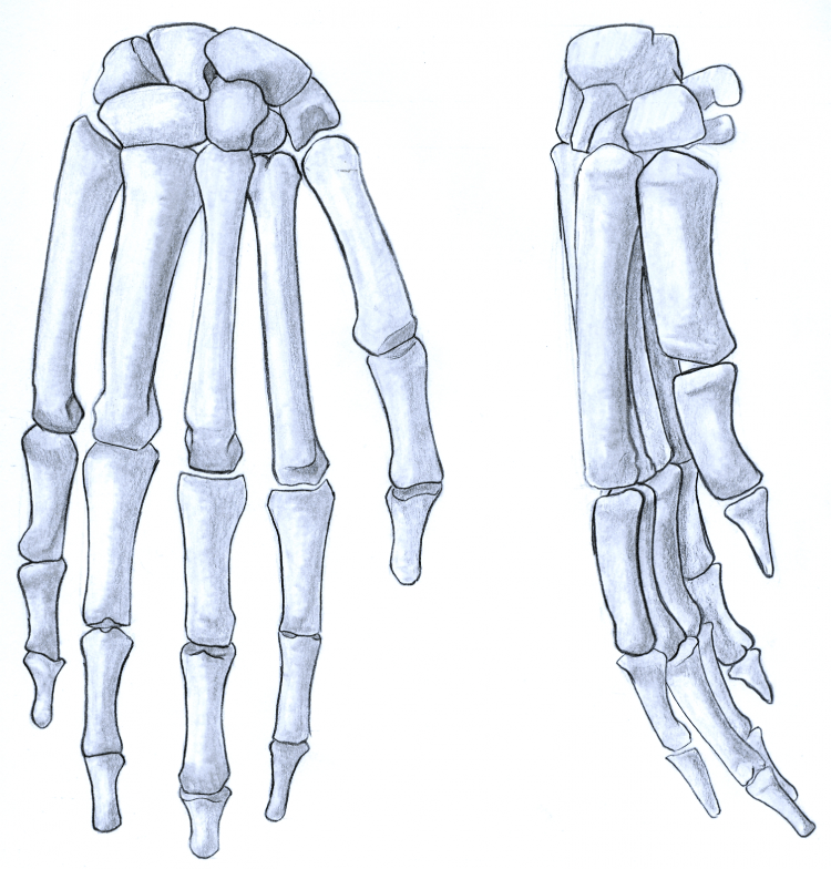 Тату кости на руке эскизы