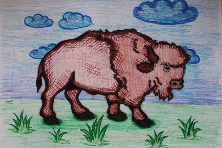 Нарисовать растения и животные