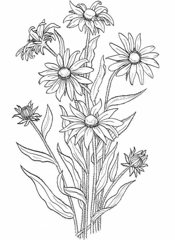 Трафарет для детей большая Ромашка