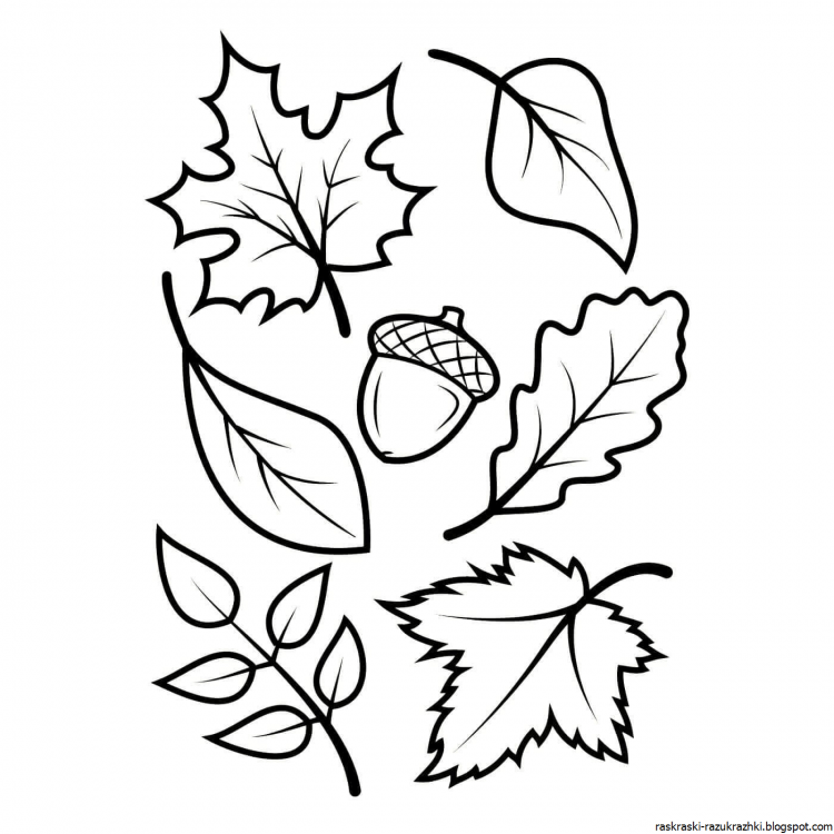 Осенняя раскраска