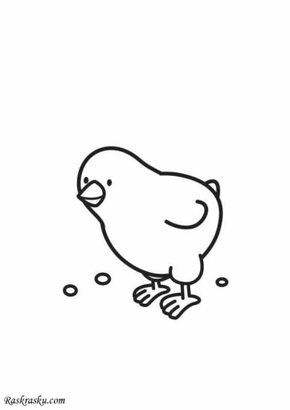 Милые цыплята раскраска