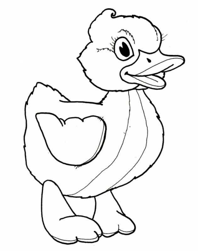 Пришвин хромка раскраска