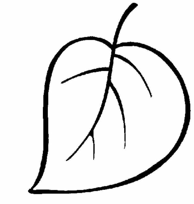 Листья трафарет для вырезания