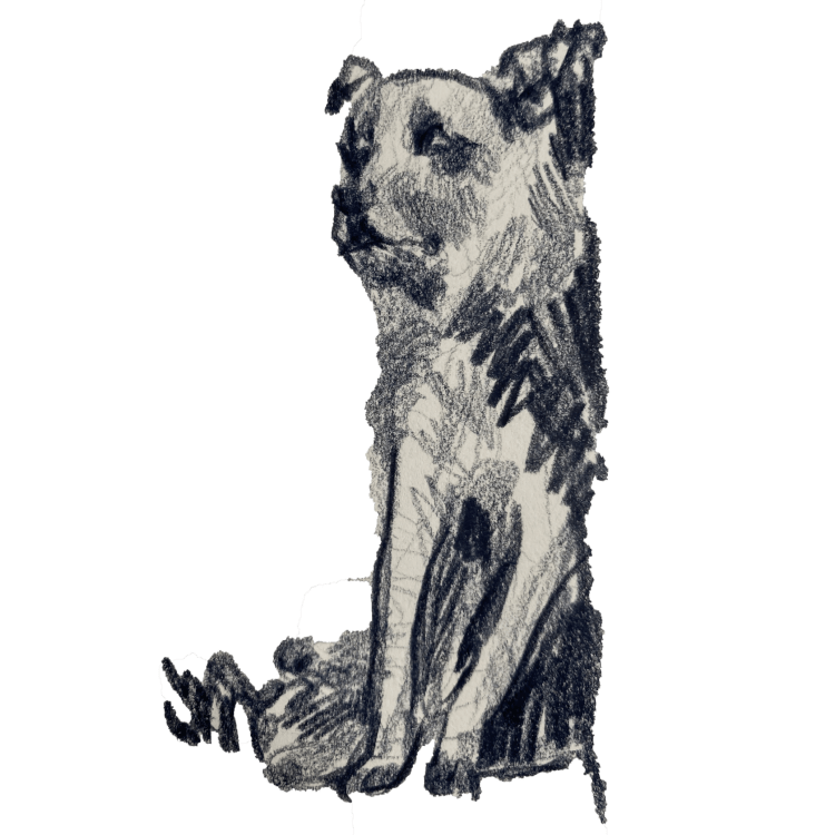 Рыжая девочка с котенком