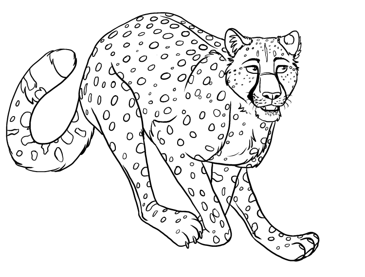 Леопард раскраска для детей
