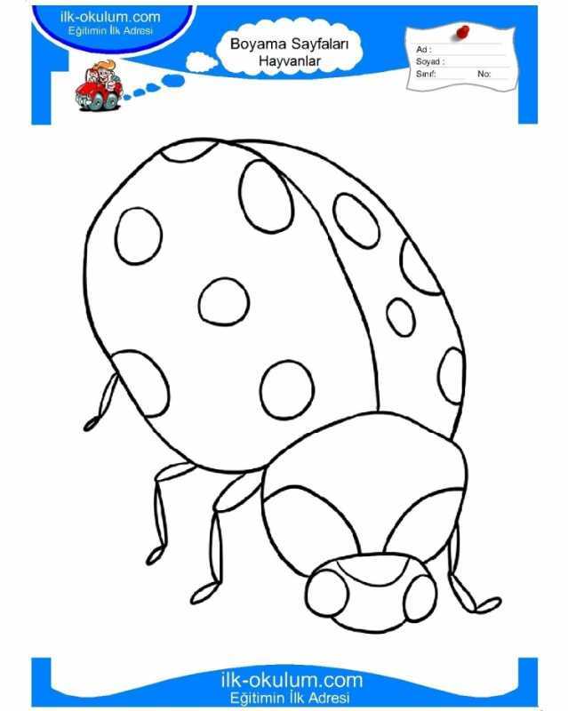 Трафарет жучков