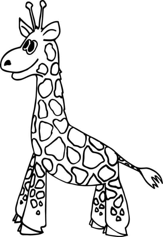 Жираф без пятнышек картинка для детей