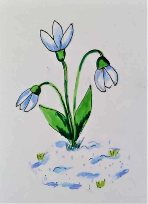 Подснежники мультяшные