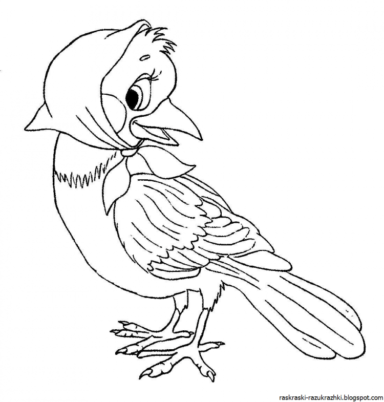 Попугай раскраска для детей