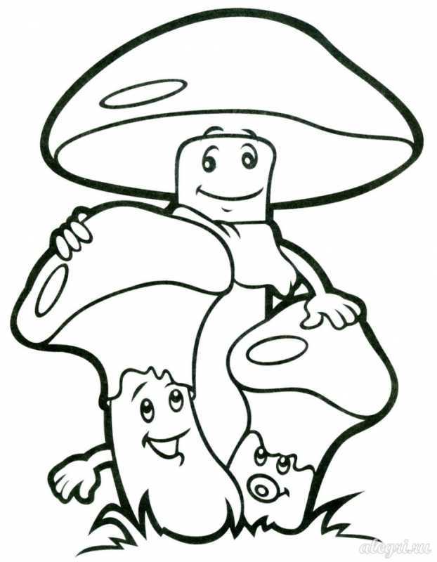 Гриб Боровик раскраска