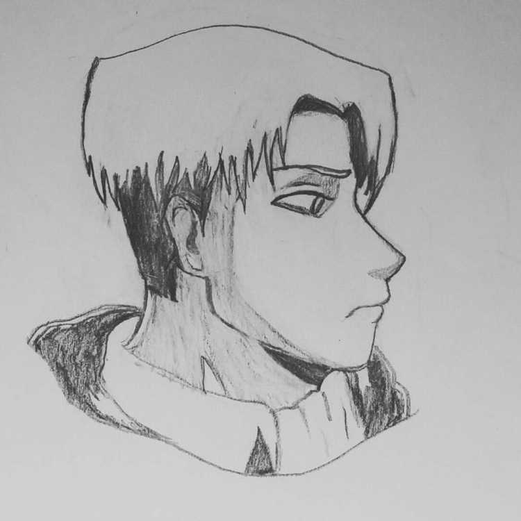 Леви Аккерман рисунок