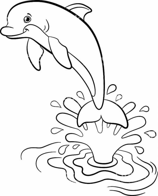 Беломордый Дельфин раскраска