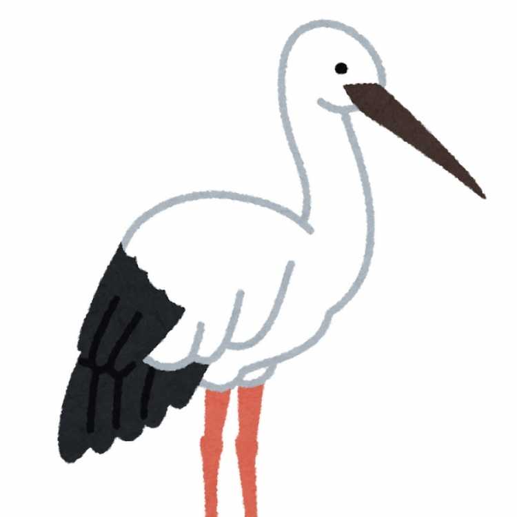 Аист с ребеночком