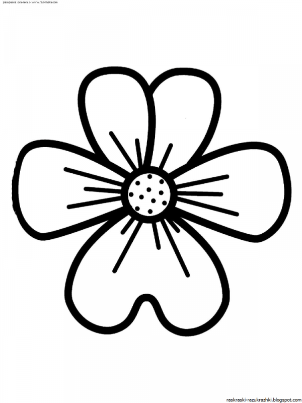 Раскраска цветочек