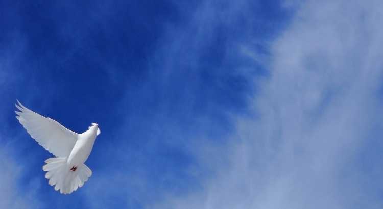 Конкурс рисунков мирное небо над головой