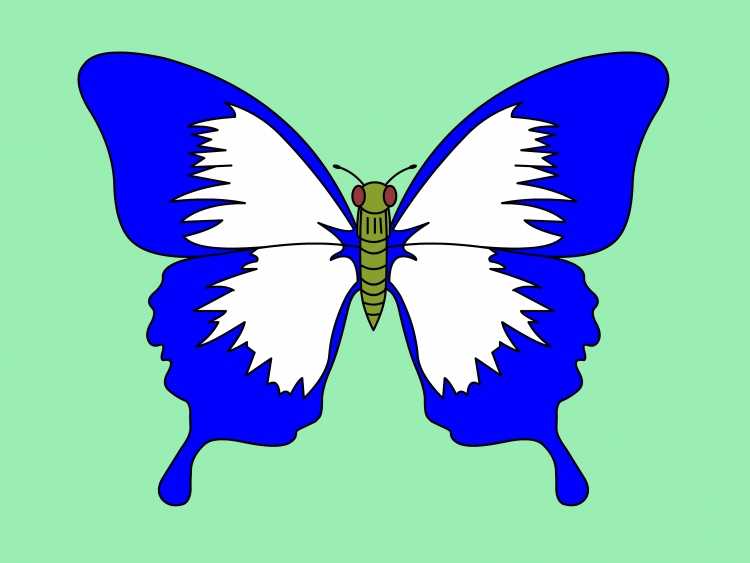 Бабочка рисунок