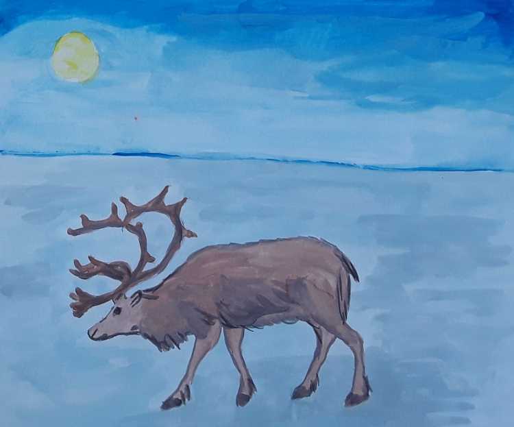 Рисование животных севера