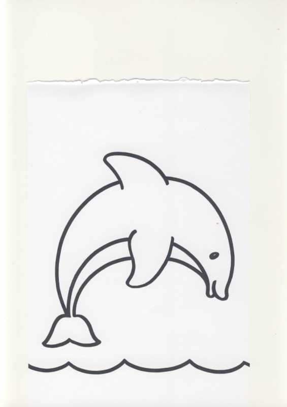 Дельфин раскраска вектор