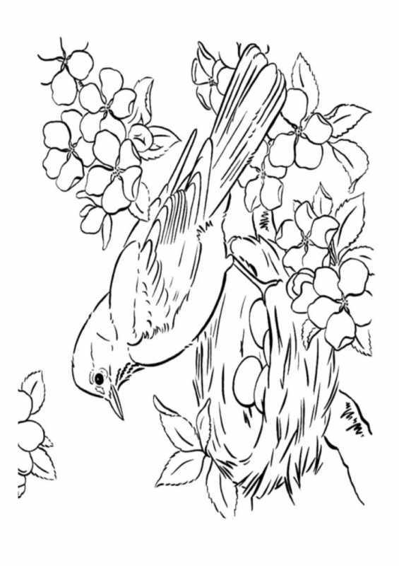 Весенние раскраски для детей