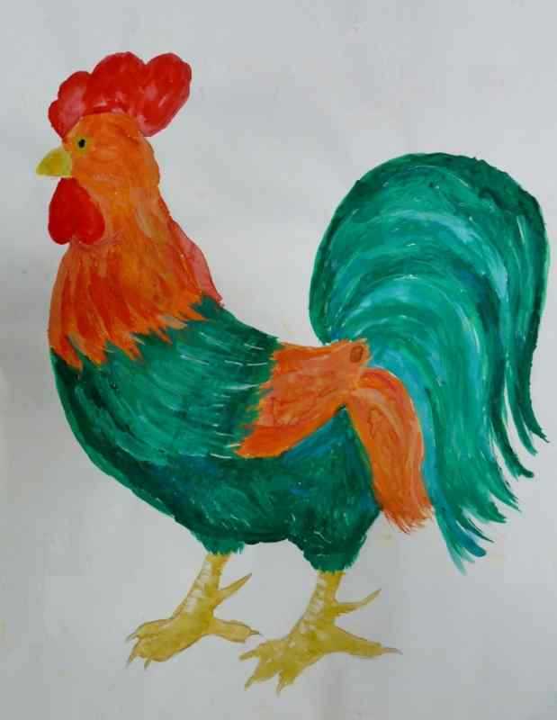 Курица иллюстрация