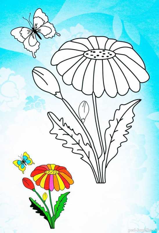 Лист одуванчика схематично