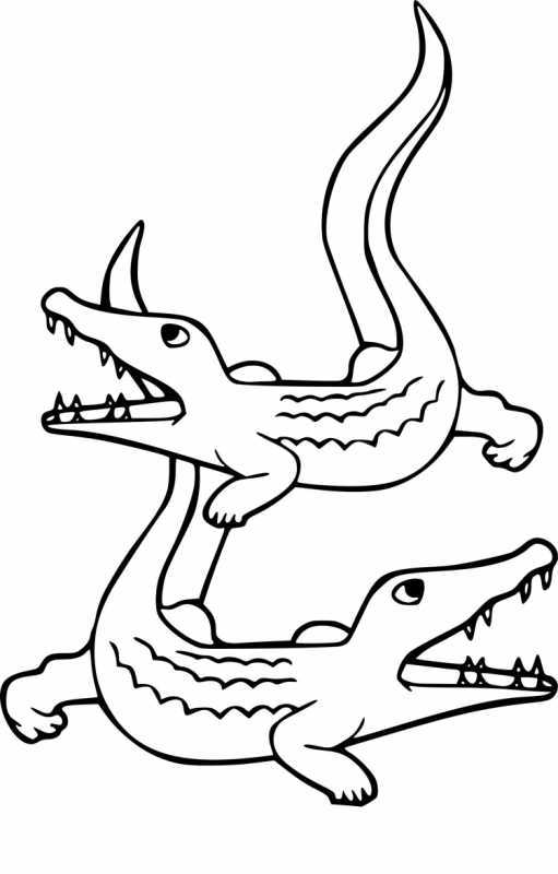 Разукрашки крокодил