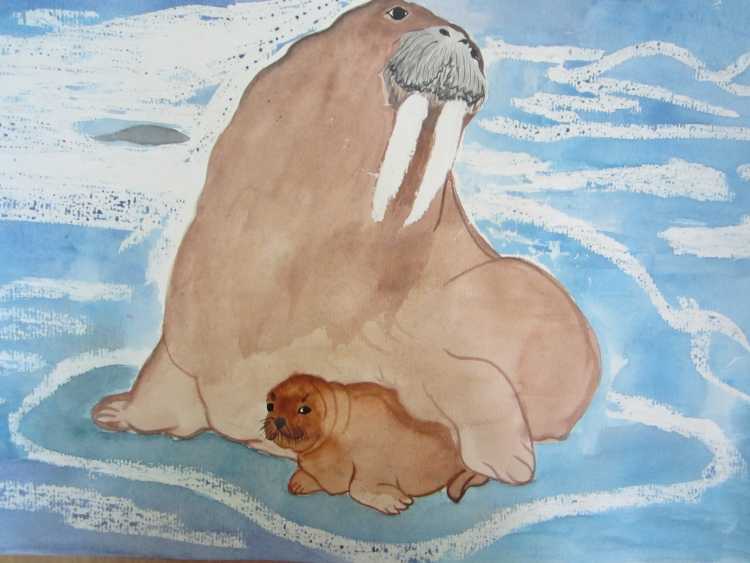 Рисование животных Арктики