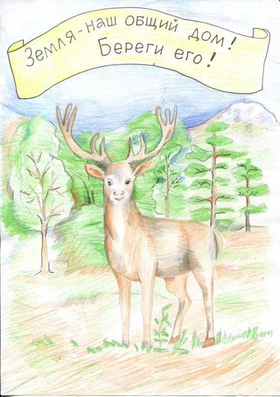 Рисунок на тему охраняемые растения и животные