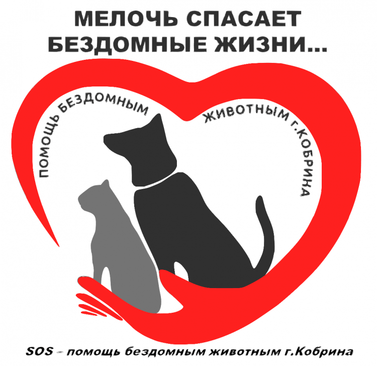 Собака ангел