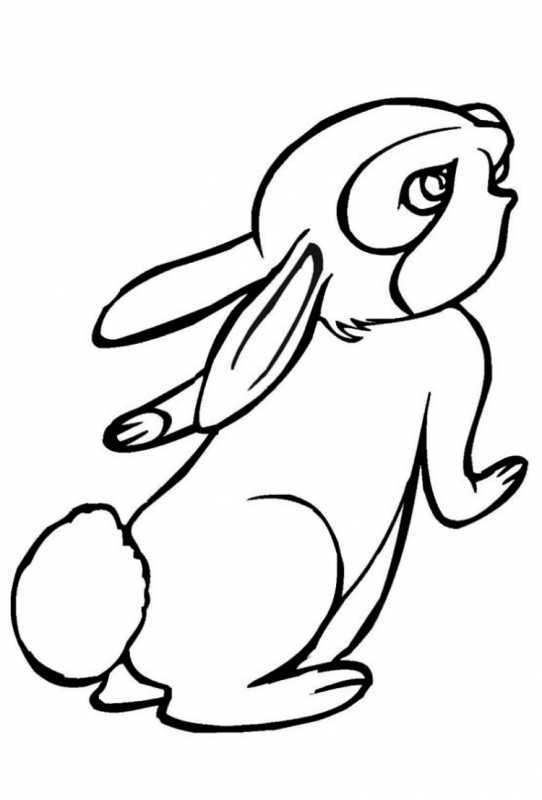 Зайчик эскиз