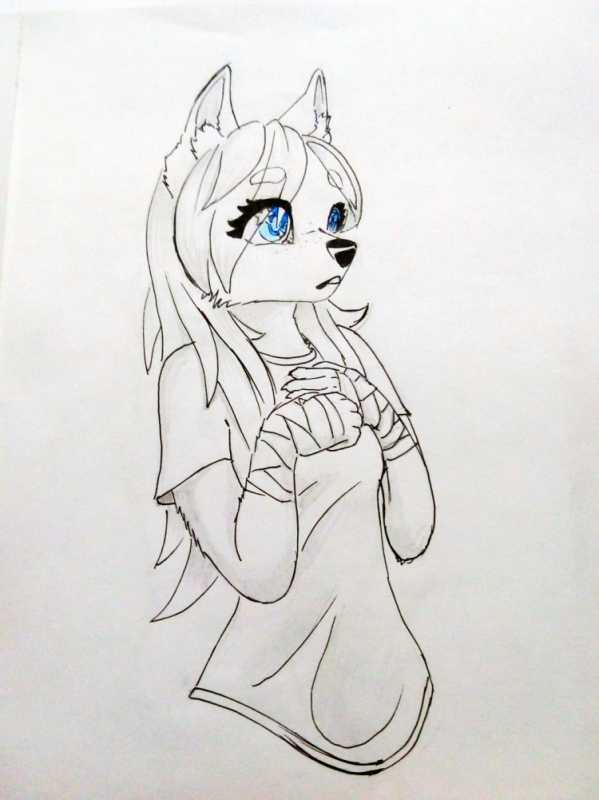 Фурри для срисовки