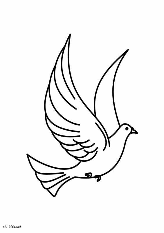 Контурное изображение птиц для детей