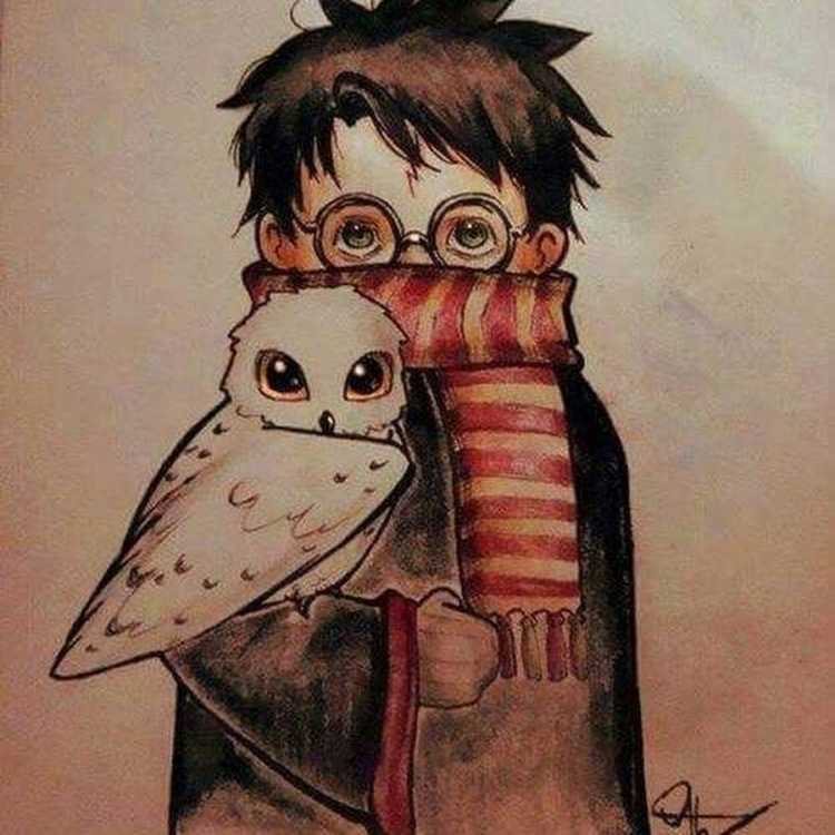 Букля Гарри Поттер рисунок