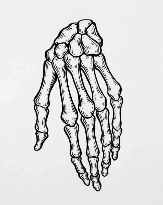 Кисть руки скелет