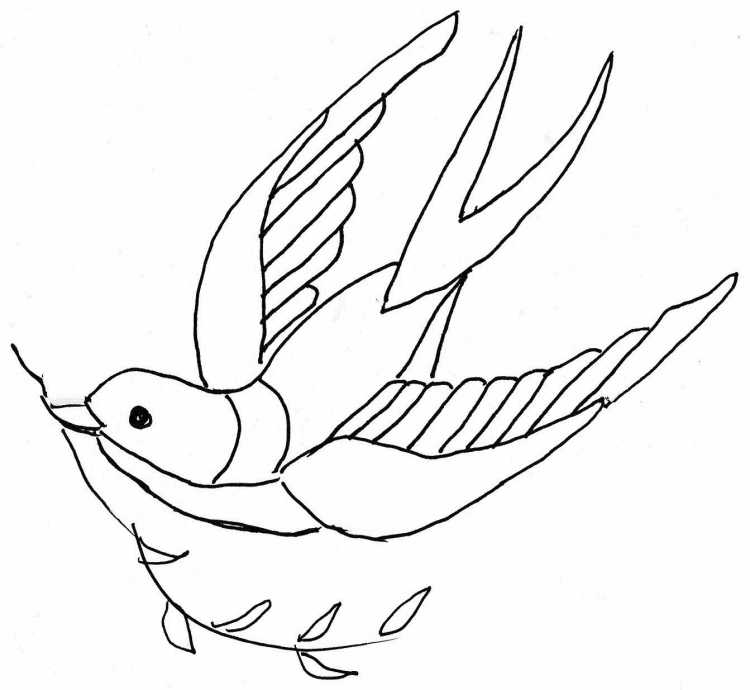 Стриж раскраска для детей