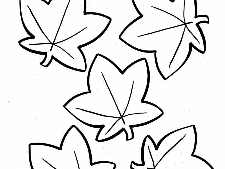 Лист каштана рисунок