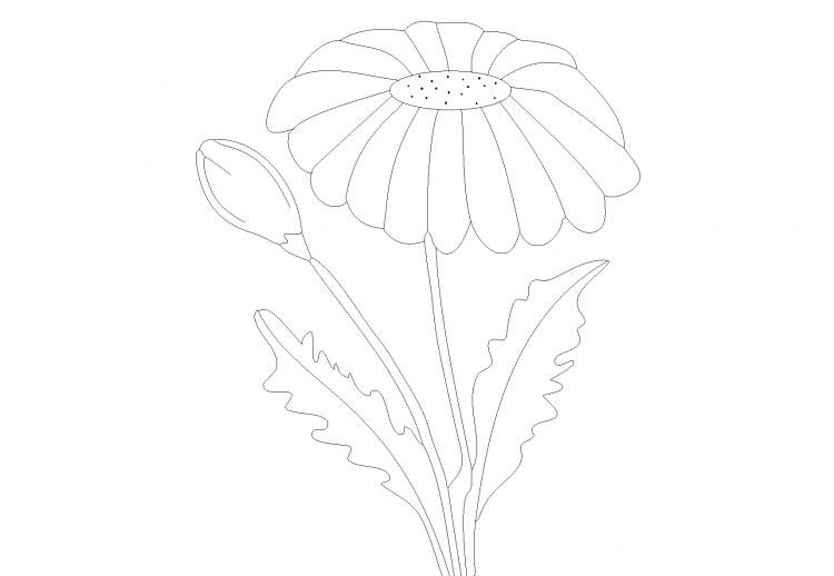 Графическое изображение одуванчик для дошкольников