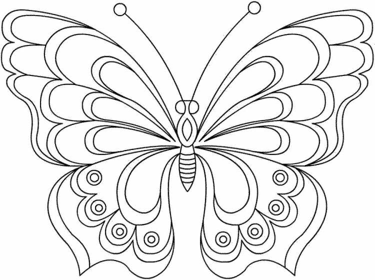 Раскраска "бабочки"