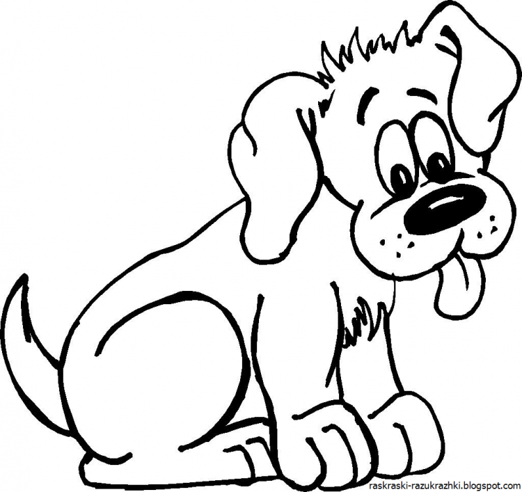 Золотистый ретривер щенки раскраска