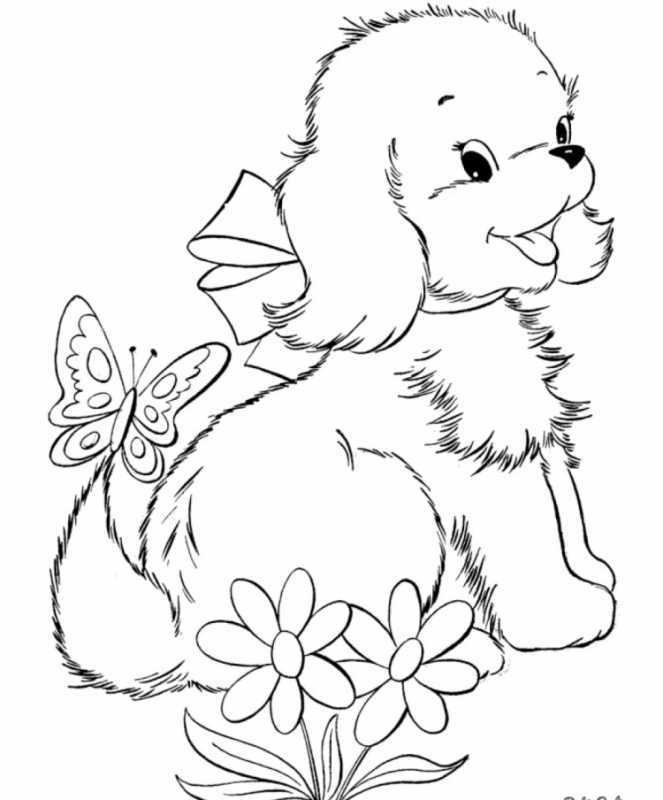 Раскраска "собаки"