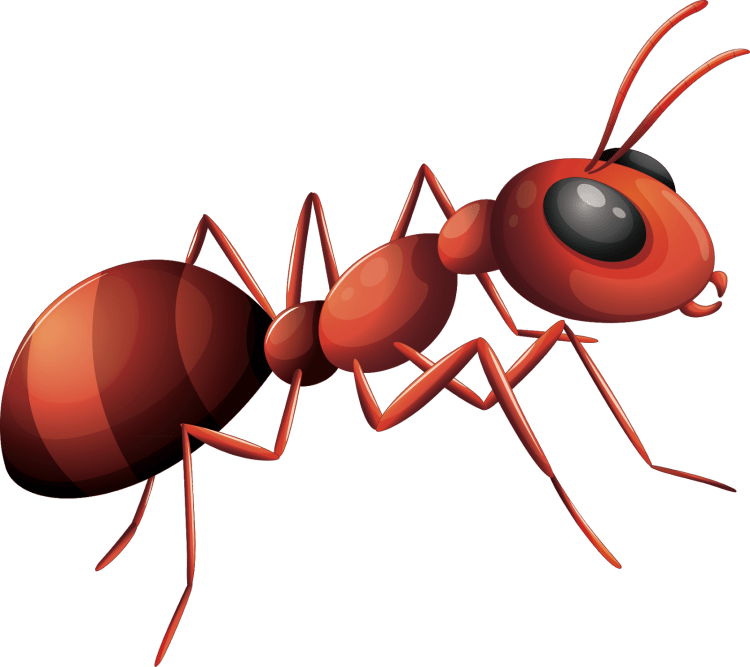 Муравей мультяшный