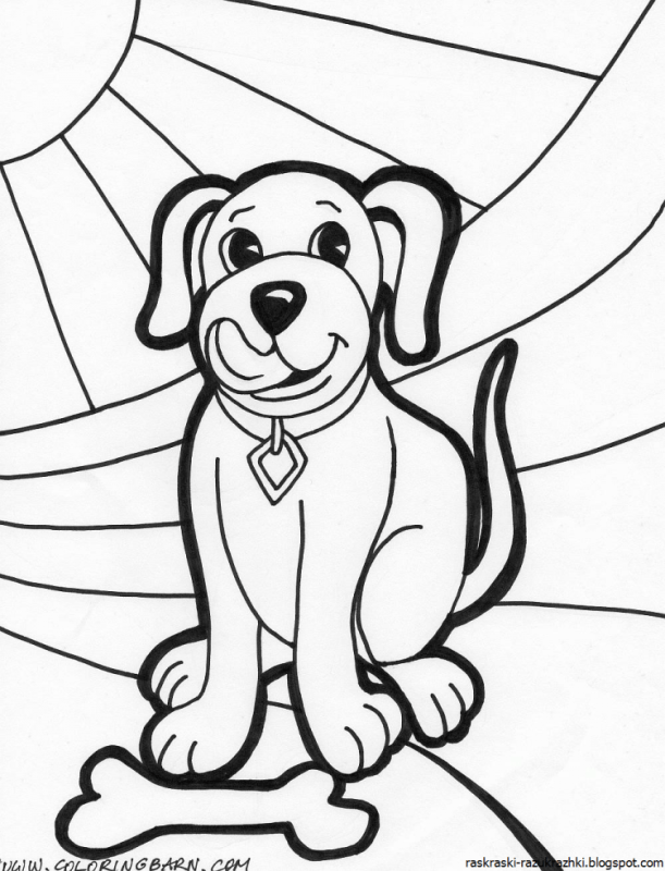 Раскраска лабрадор