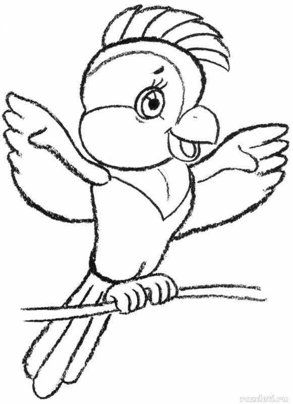 Раскраска волнистый попугайчик