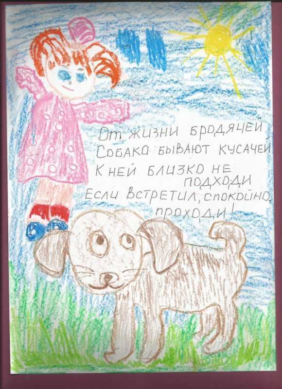 Плакат на тему бездомные собаки